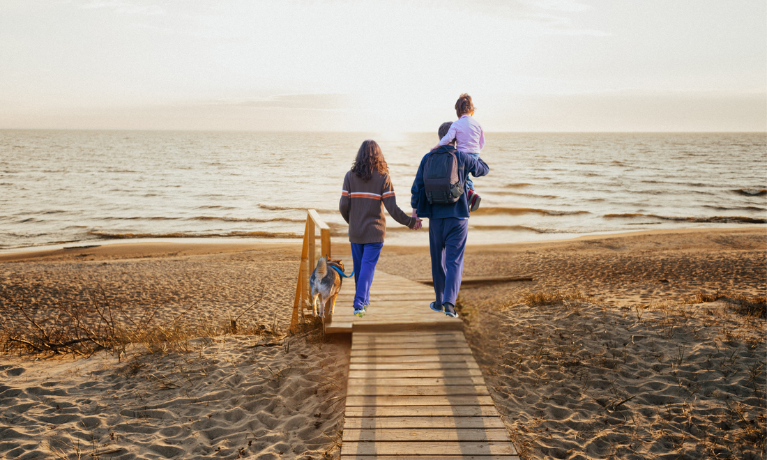 a family and their dog walking towards the sea