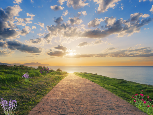 a path leading to sunrise on the horizon