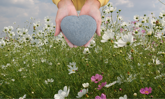 hands holding heart-shaped stone