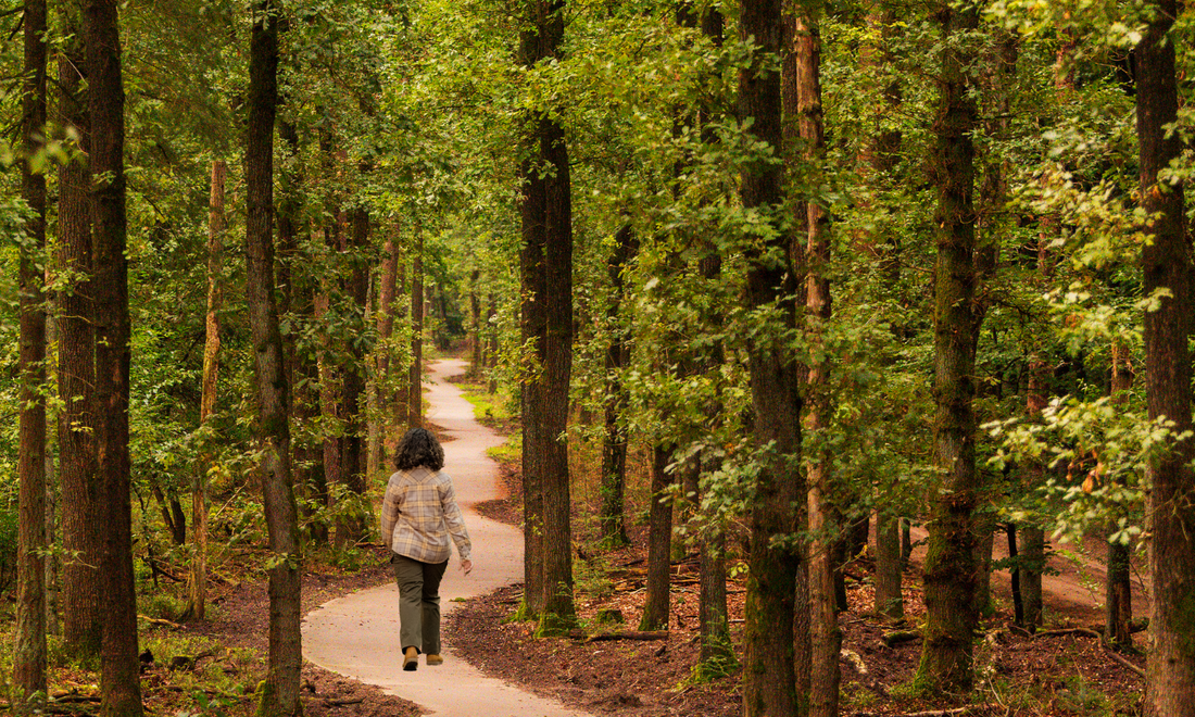 A person walking through a winding path in a forest