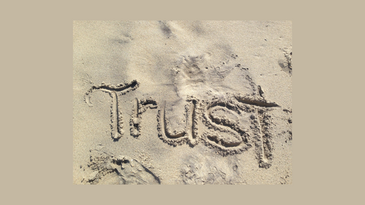 the word 'trust' written in the sand