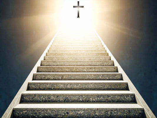 The Light That Leads You