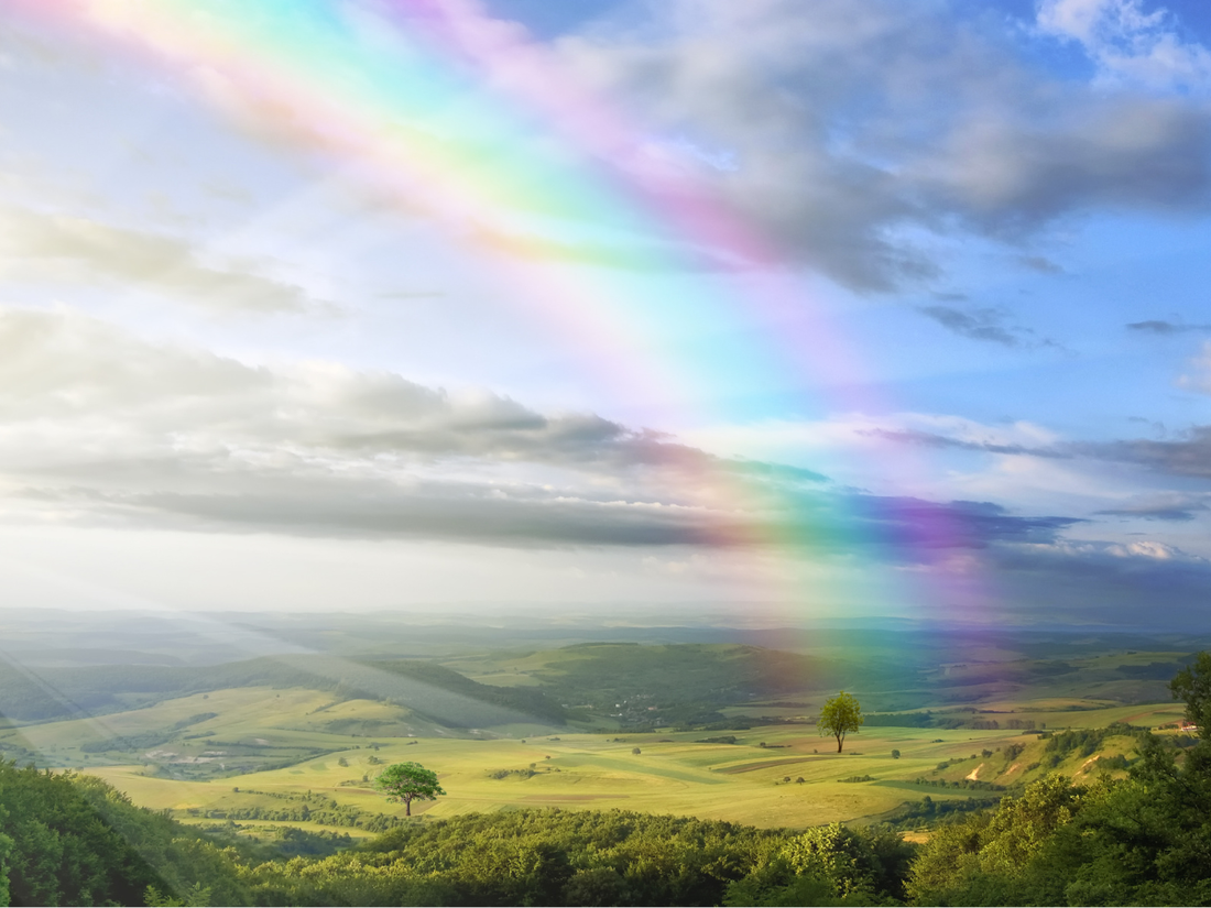 rainbow on a slightly cloudy backdrop