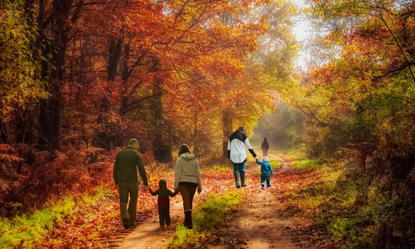 families walking on a path strewn with autumn leaves