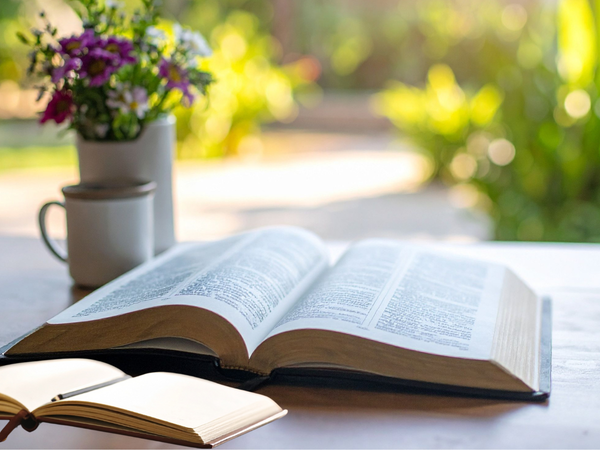 open Bible and journal with mug by window—quiet prayer time for parents