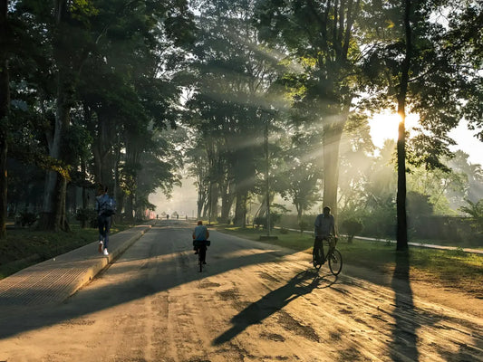 Walk It Out: Peace, Perseverance, Community, Pace